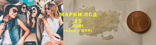 шишки Горняк