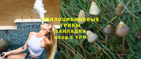 бутират Гусь-Хрустальный