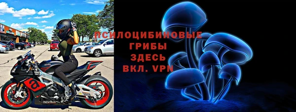 мяу мяу мука Гусиноозёрск