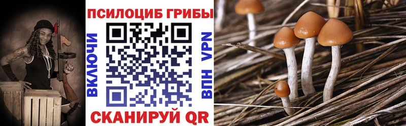 Купить закладки  Сухой Лог  Галлюциногенные грибы Magic Shrooms 